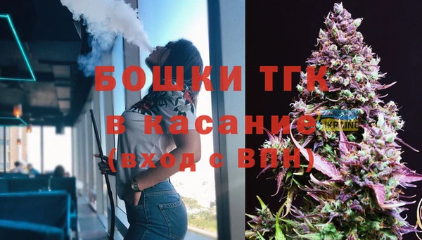 тгк Алзамай