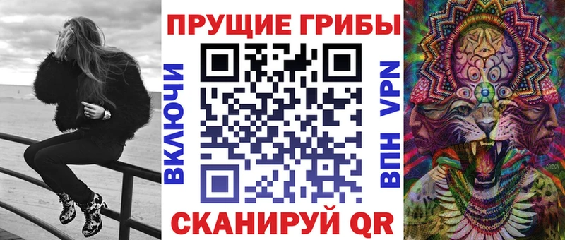 omg как войти  закладка  Буй  Галлюциногенные грибы GOLDEN TEACHER 