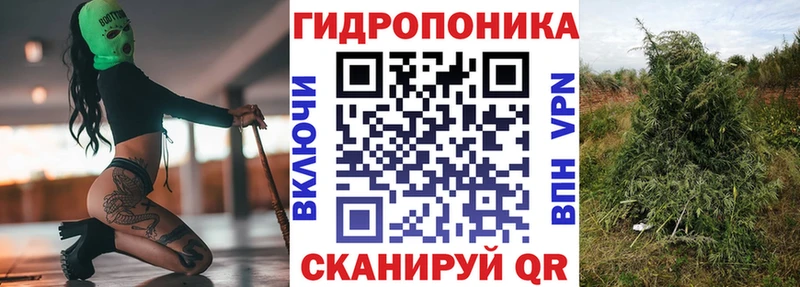 ОМГ ОМГ Буй Каннабис OG Kush сколько стоит